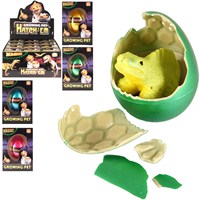 6cm hatching Dinosaur egg  Place in water for 48 hours and see the dinosaur  hatch out. Display box of 12.  Age 3+.