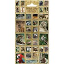 10cm x 20cm Sheet of wildlife themed photo Stickers including lion, parrot and tiger. Great for applying to school books, craft projects and much much more. Age 3+