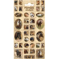 10cm x 20cm Sheet of various horse Stickers. Great for applying to school books, craft projects and much much more. Age 3+