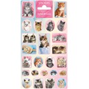 10cm x 20cm Sheet of various cat Stickers. Great for applying to school books, craft projects and much much more. Age 3+